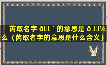 芮取名字 🐴 的意思是 🌼 什么（芮取名字的意思是什么含义）